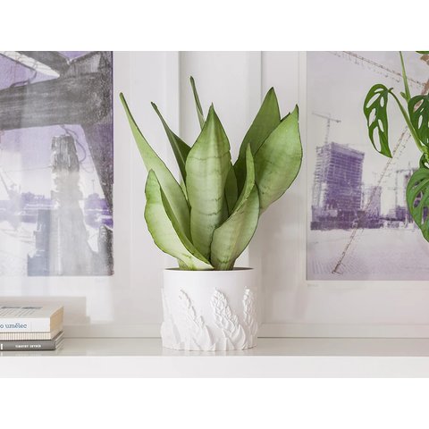 Филамент для 3D-принтера PRUSA Fillamentum ASA Extrafill Snow White, 750 г Превью 5